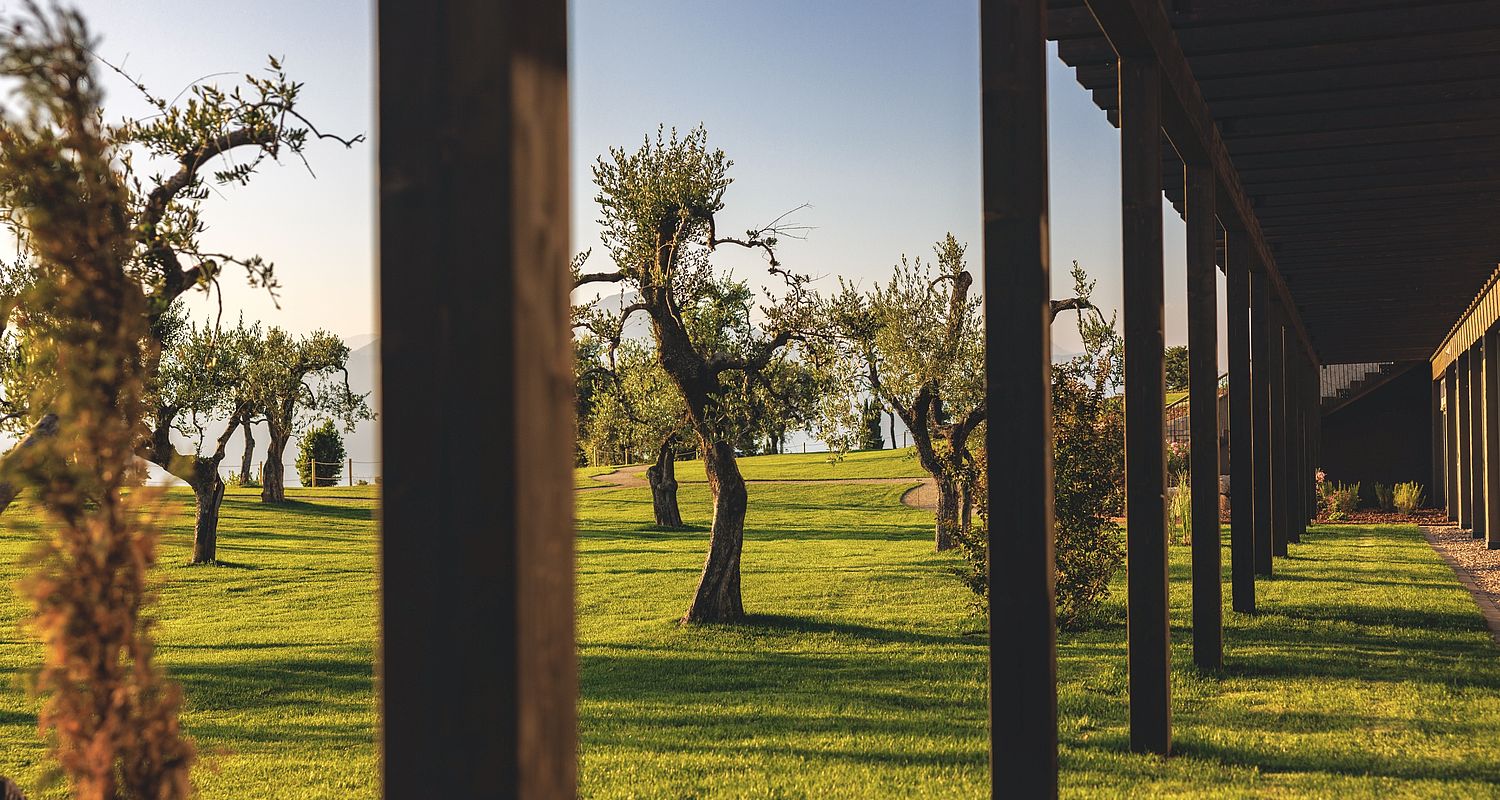 Passaggio nel giardino dell'hotel sul lago di Garda